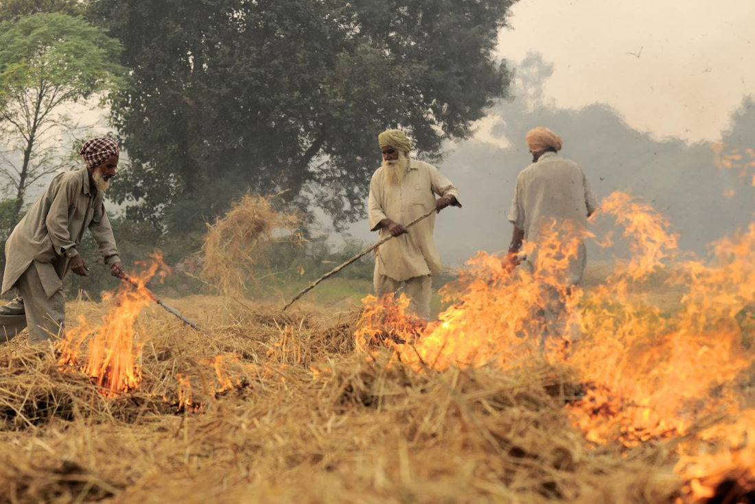 Brennende Reisfelder im Punjab, Indien